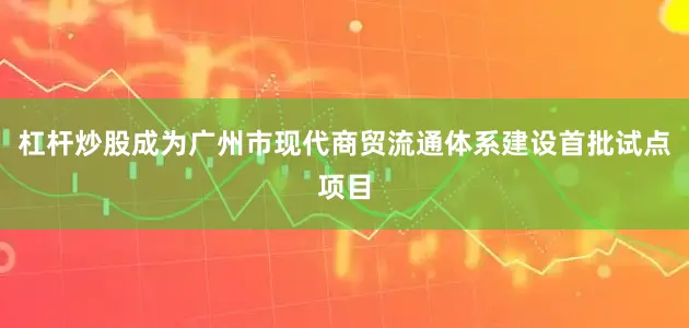 杠杆炒股成为广州市现代商贸流通体系建设首批试点项目